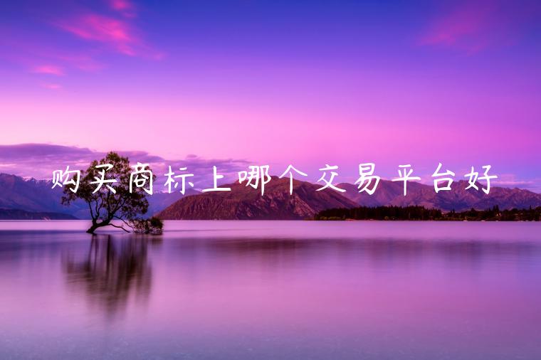 購(gòu)買(mǎi)商標(biāo)上哪個(gè)交易平臺(tái)好